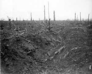 800px-German_trench_Delville_Wood_September_1916-1